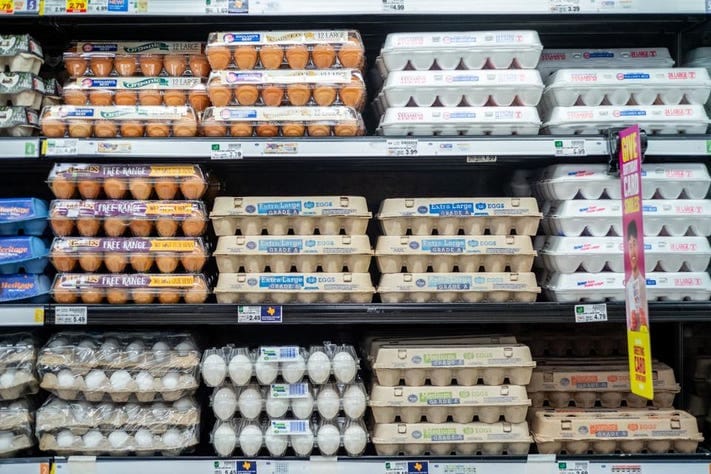 Egg Prices Set to Rise by 20% in 2025 Amid Avian Flu Crisis
