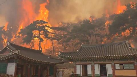 South Korea Battles Its Worst Wildfire Disaster